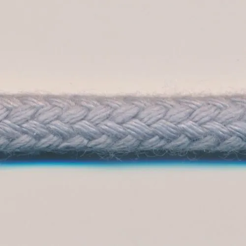 String Cord #100 Pale Silver