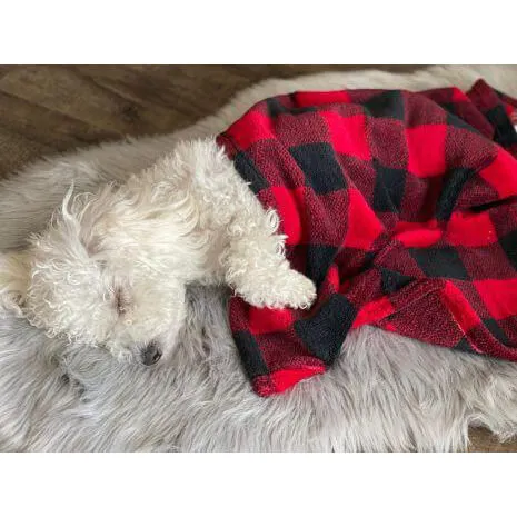 Tall Tails Blanket Hunters Plaid