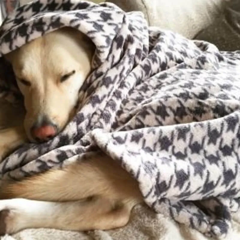 Tall Tails Houndstooth Fleece Blanket