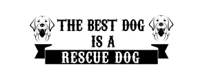 The best dog is a rescue dog
