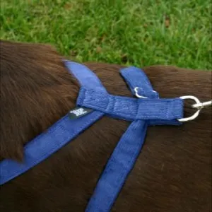 The Good Dog Company Corduroy Hemp Harness in Blue