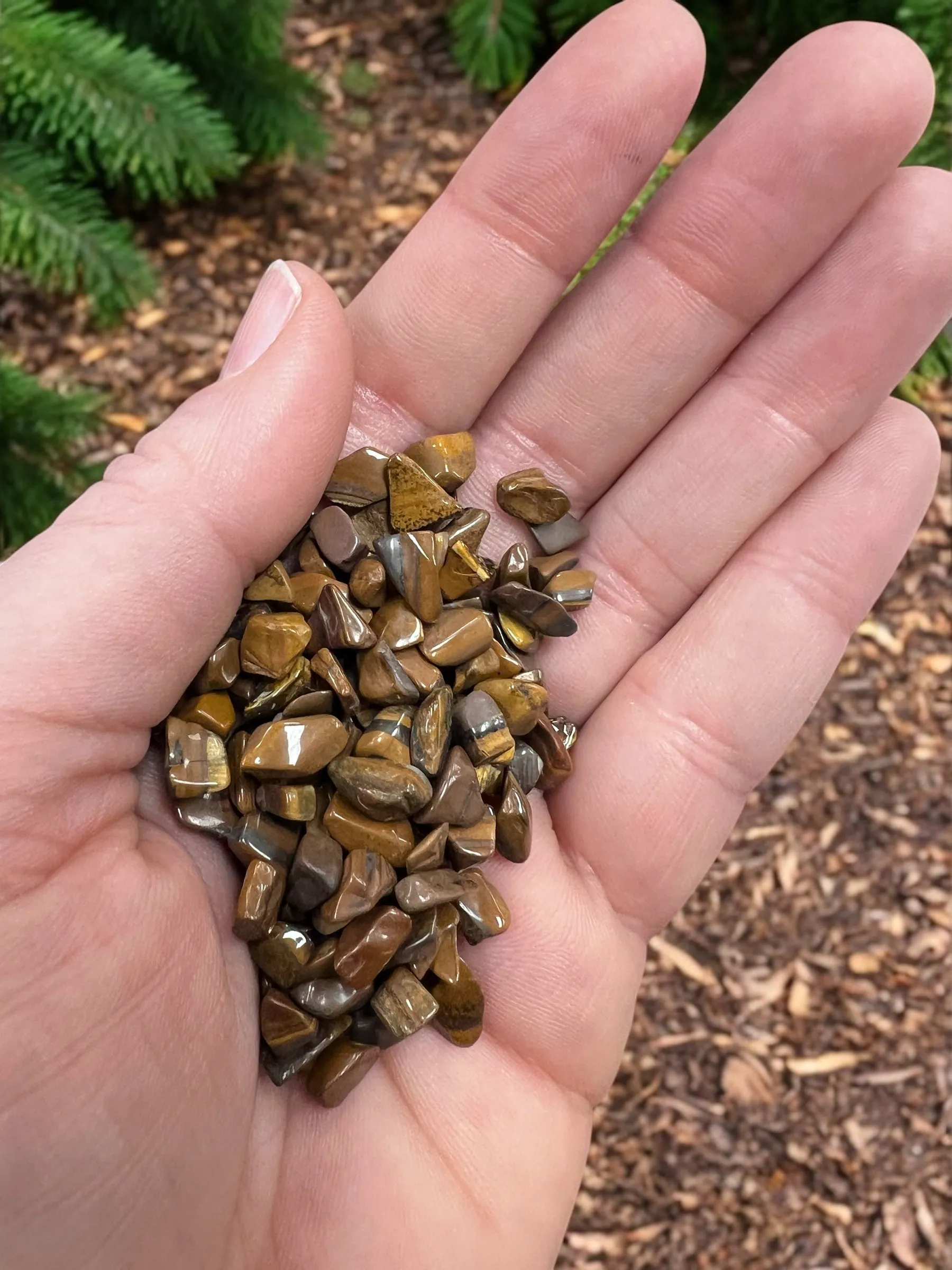 Tigers Eye Gemstone Chips