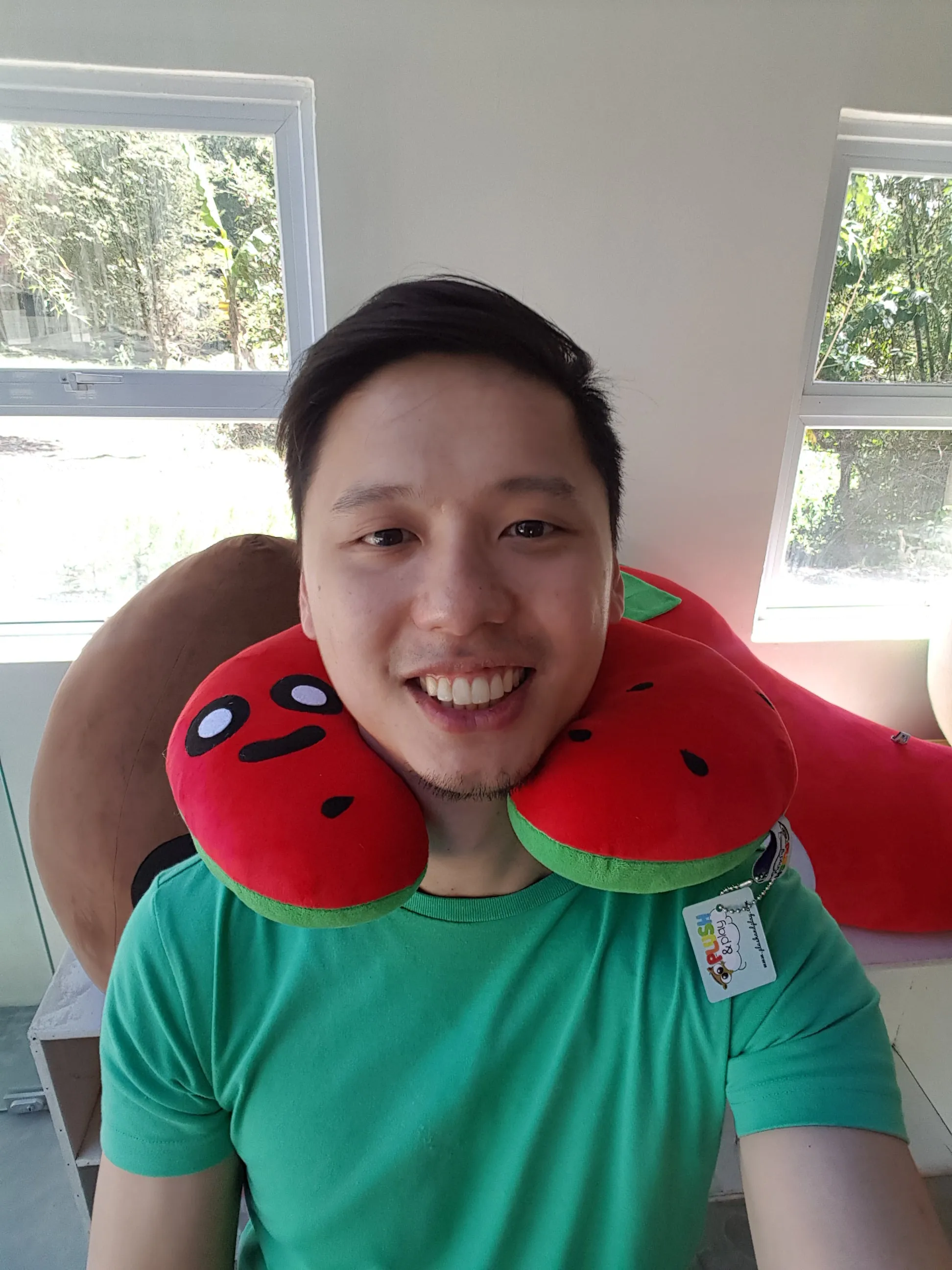 Travel Neck Pillows