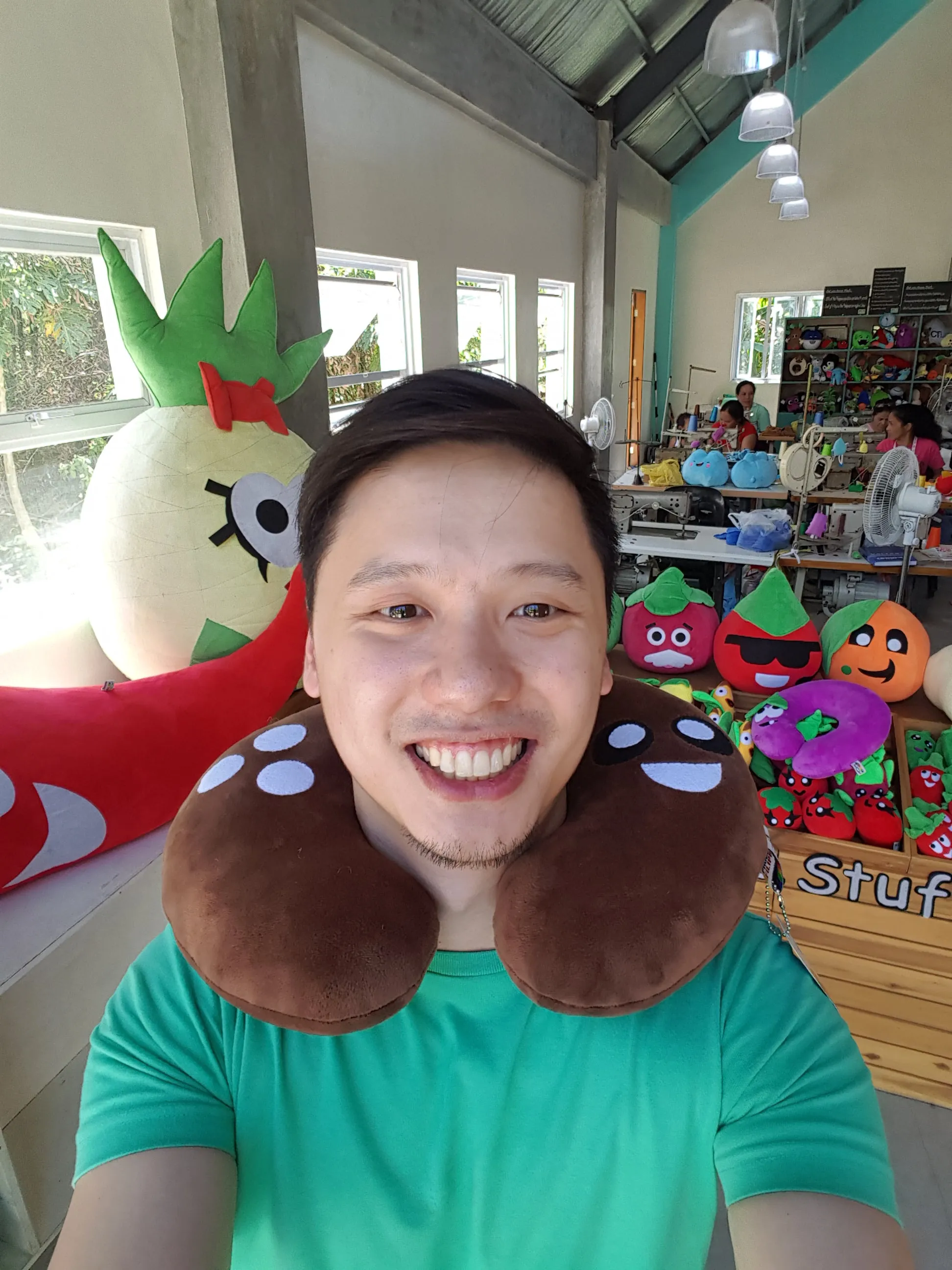 Travel Neck Pillows