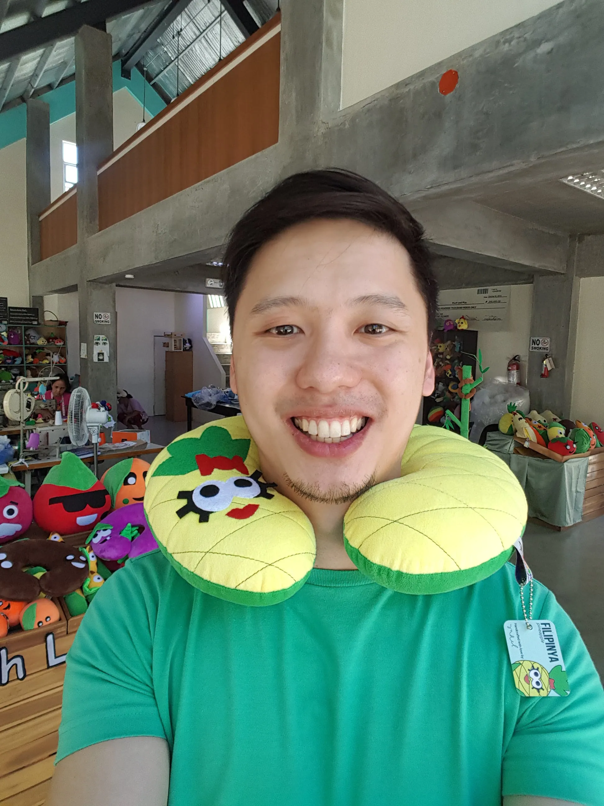 Travel Neck Pillows