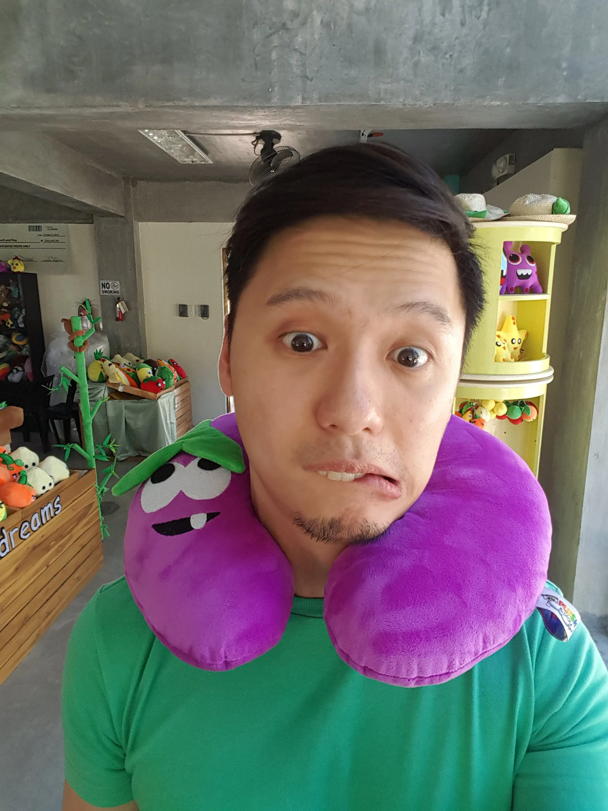 Travel Neck Pillows