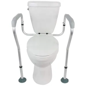 Vive Toilet Safety Rail