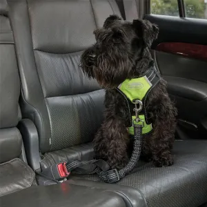 Weatherbeeta Car Seat Belt Attachment