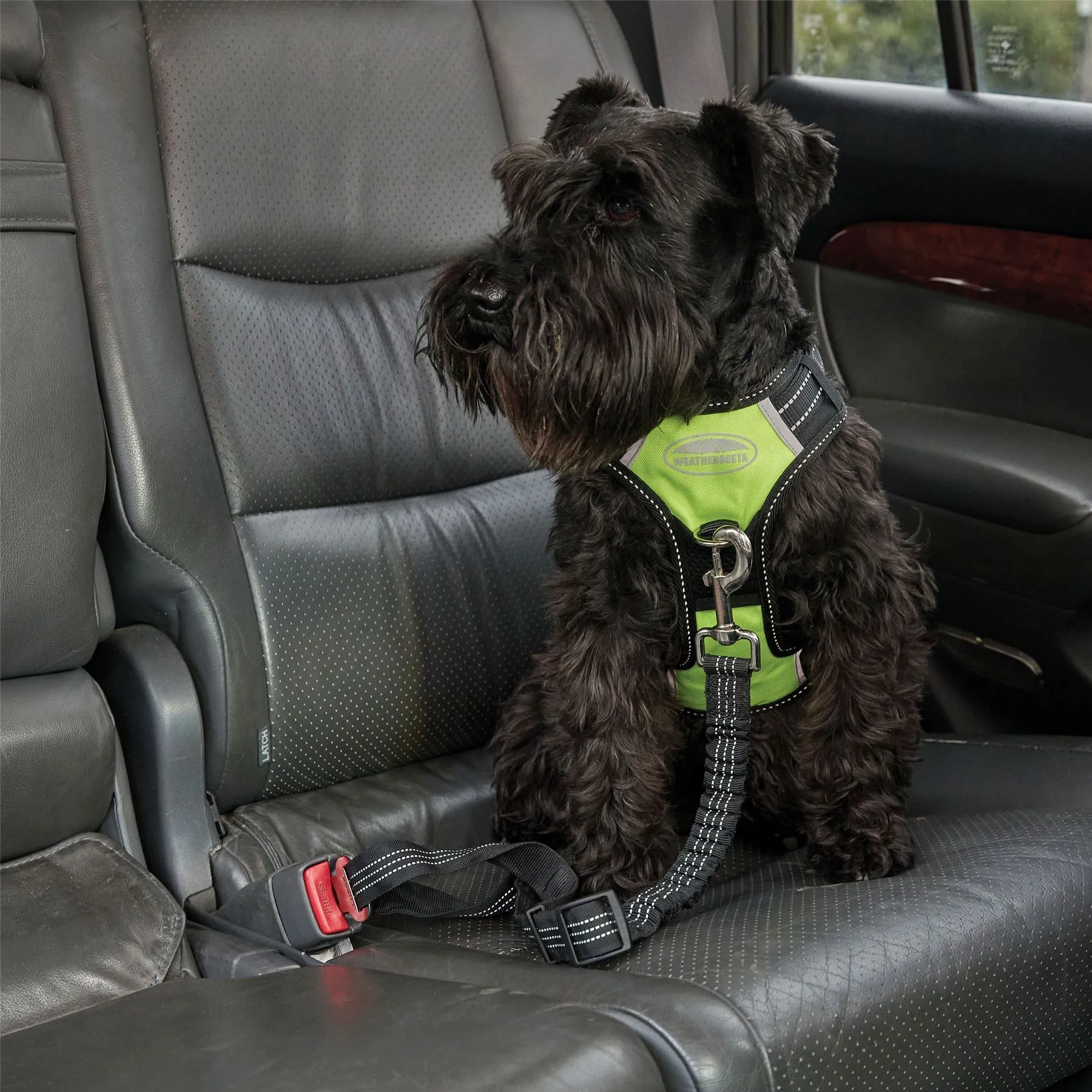 Weatherbeeta Car Seat Belt Attachment